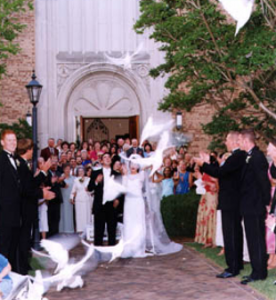 We will add that perfect touch to all your cherished moments with a white dove release!