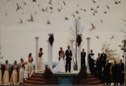 Make your special day all the more beautiful with a dove releasing ceremony!  
