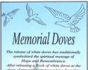 Honor the passing of a loved one with a beautiful dove release at graveside. 
